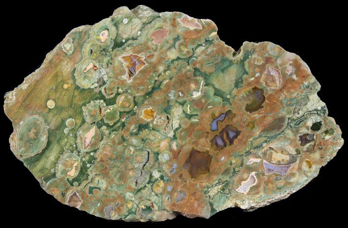 Polished Rainforest Jasper (Rhyolite) Slab - Australia #65353